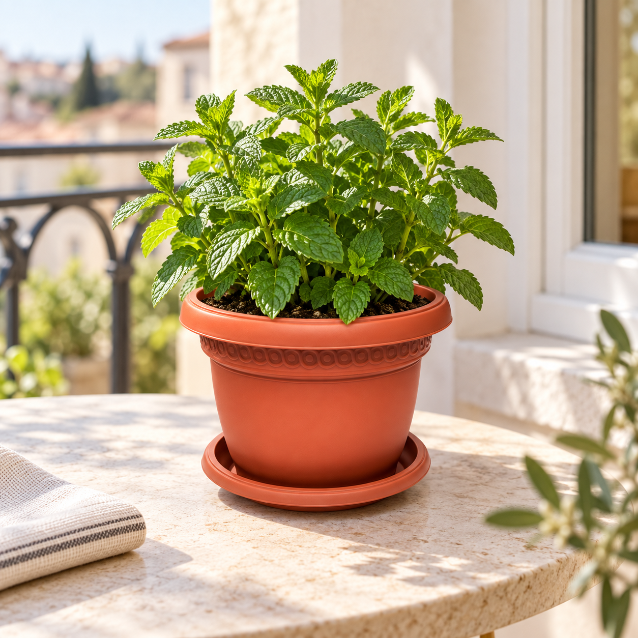 B102-2 Pot 2 terracotta mint planter in a European home