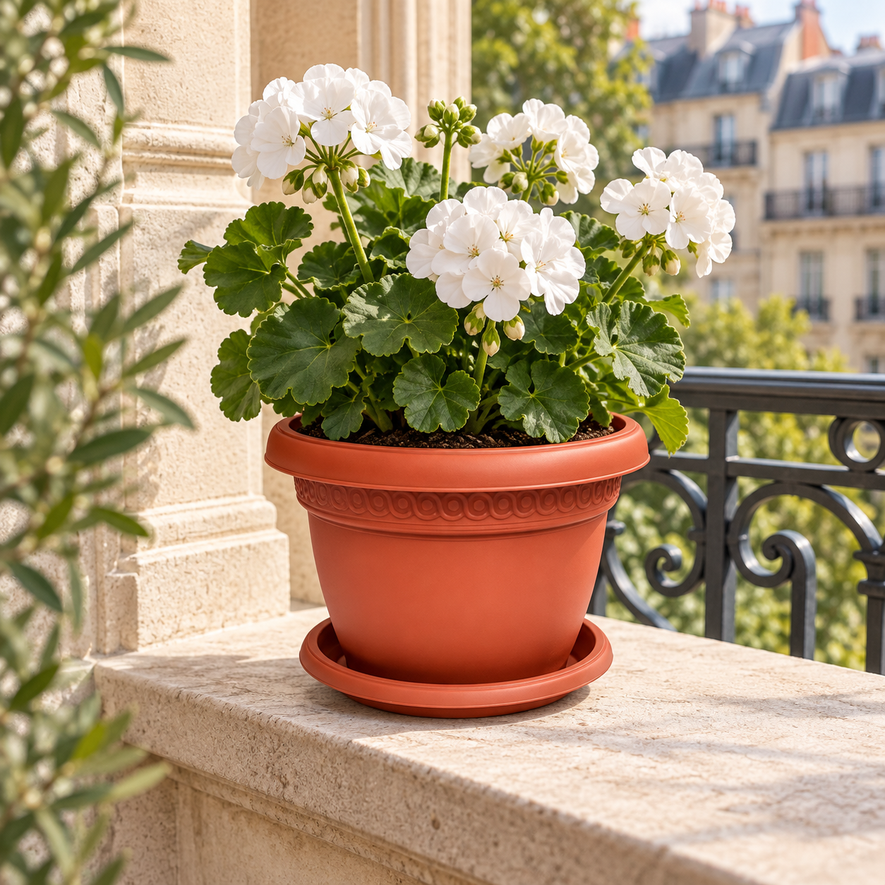 B102-3 Pot 3 terracotta planter with white geraniums on a European balcony