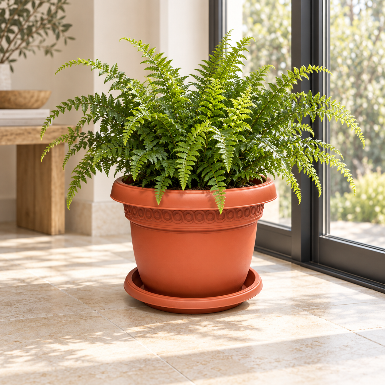 B102-4 Pot 4 terracotta fern planter in a European conservatory