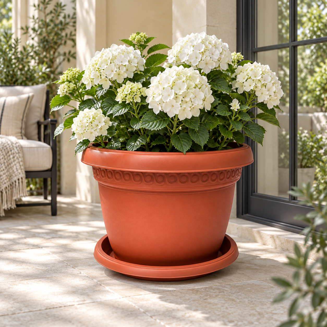 B102-8 Pot 8 terracotta planter with white hydrangeas on a European veranda
