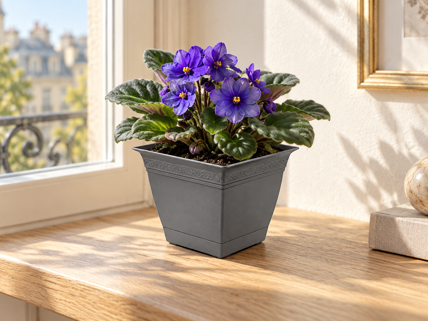 BURDEM Flowerpot Violet 1 planted with an African violet on a sunlit interior table