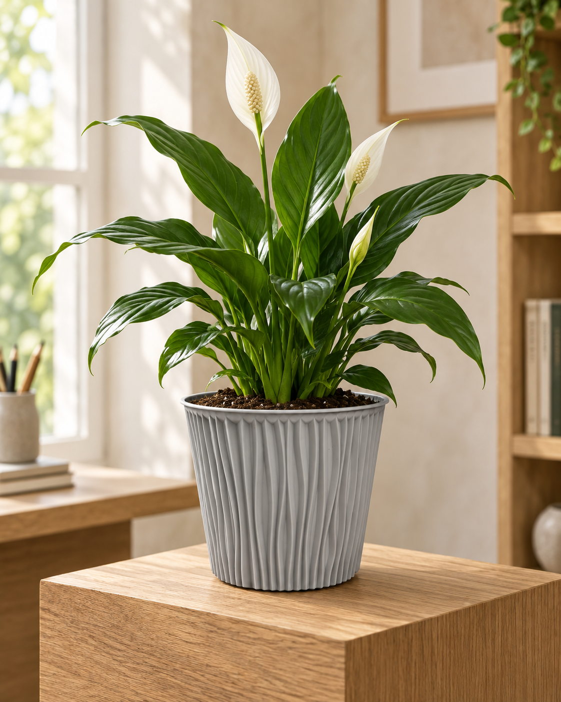FLOWERPOT BAMBO 2 (B224-2) styled in everyday use