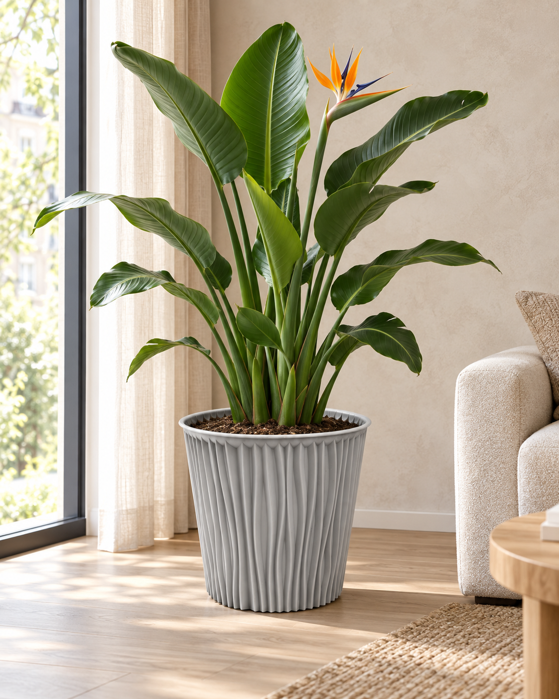 FLOWERPOT BAMBO 3 (B224-3) styled in everyday use